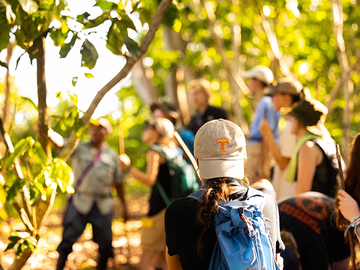 Student wearing an orange Power T hat backwards, facing away from the camera as they observe international wildlife with a group of other students.