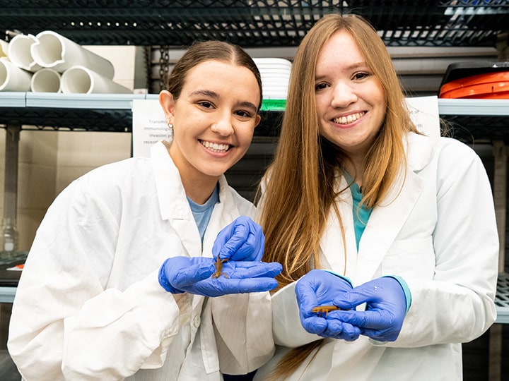 Two students wearing lab coats in a lab space, smiling and holding small lizards with blue gloves on.