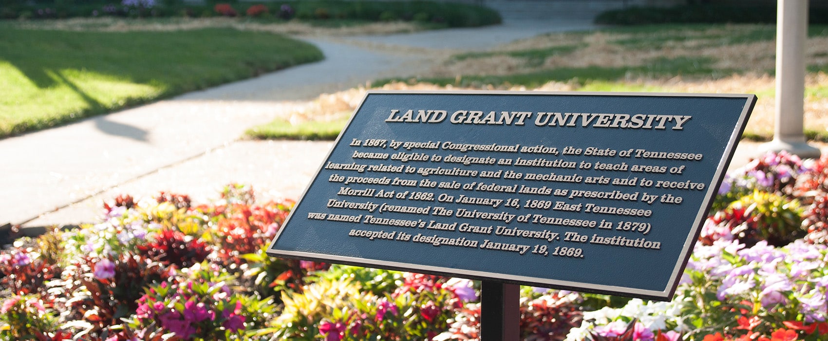 Land Grant University sign on a bed of flowers near a sidewalk.