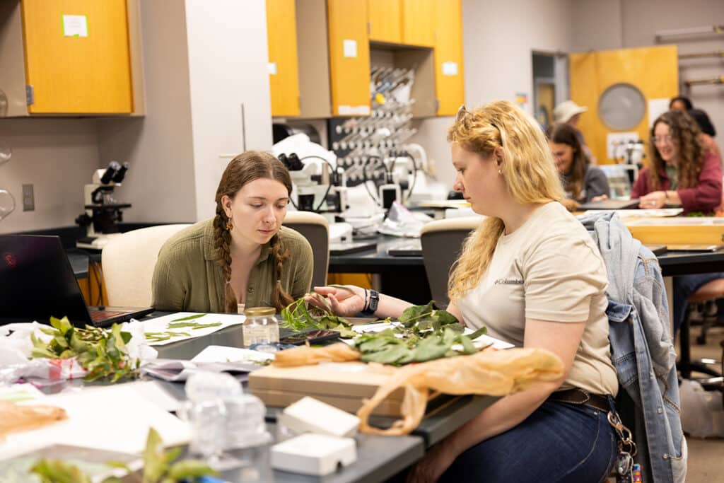 Entomology and plant pathology students looking at leaves in a classroom setting.