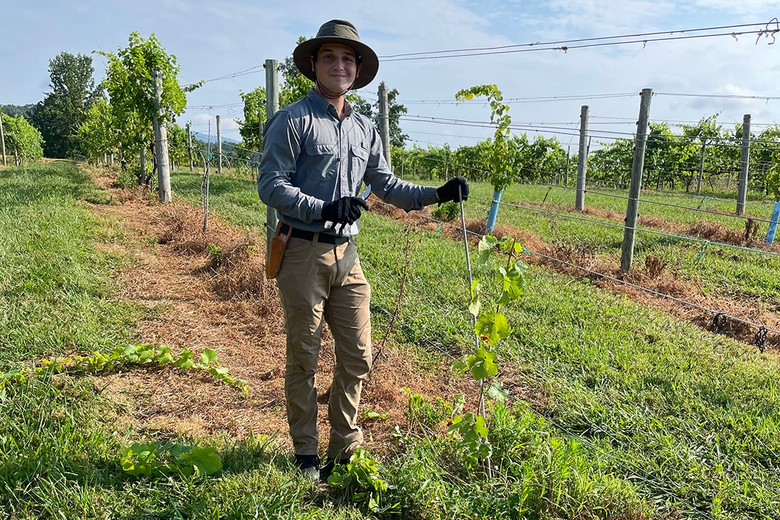 Colton McFarland interning at Spout Springs Estates.
