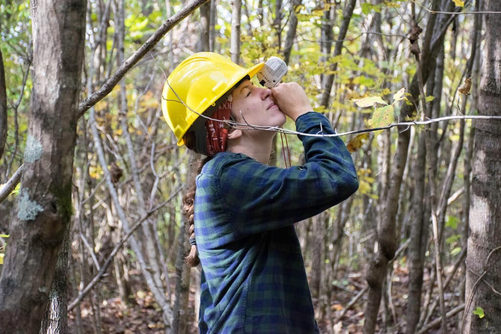 A forestry student using a tool to measure tree height while wearing a yellow hard hat, red bandana, and plaid shirt.