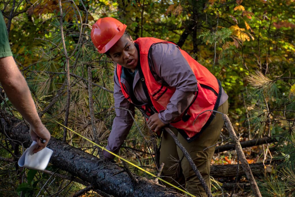 A forestry graduate student wearing a bright hard hat and vest measuring a tree.