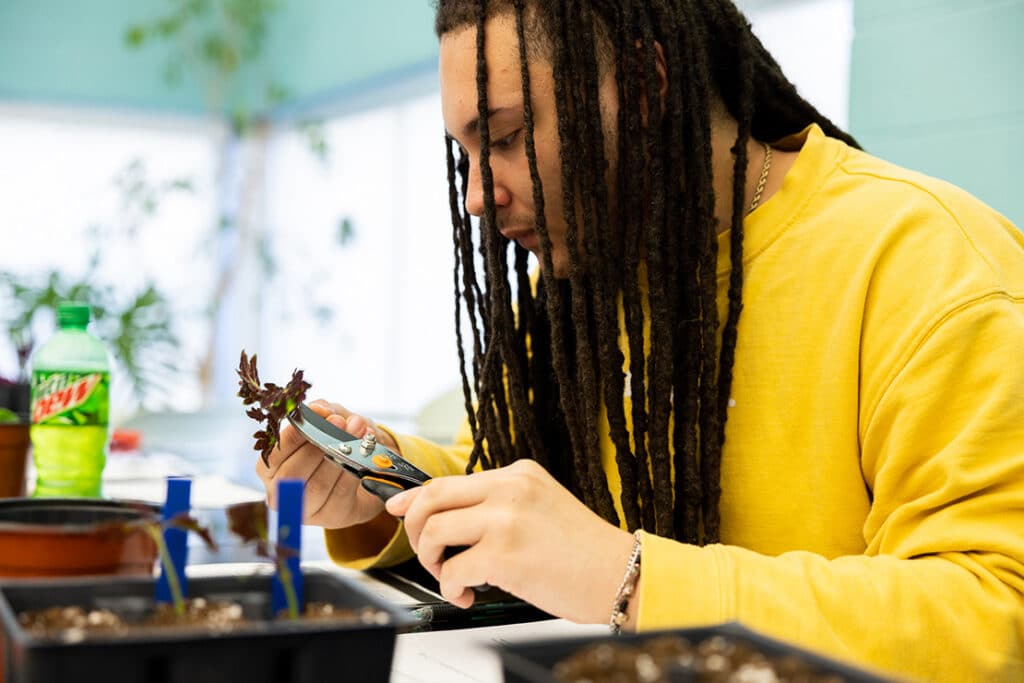 Student wearing a yellow shirt propagating a small plant in a classroom with light blue walls.