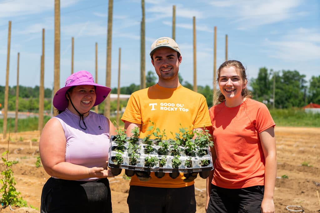 Three students standing and smiling in the UT Hop Yard on a sunny day, with one wearing an orange shirt in the middle that says "Good Ol' Rocky Top" and the other on the left wearing a bright purple sun hat.