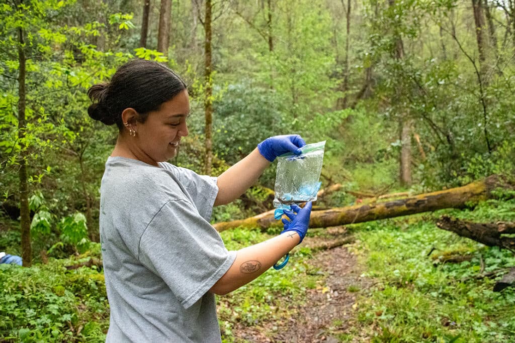 Wildlife and fisheries science student smiling and looking at a plastic bag holding a salamander in a wooded area.