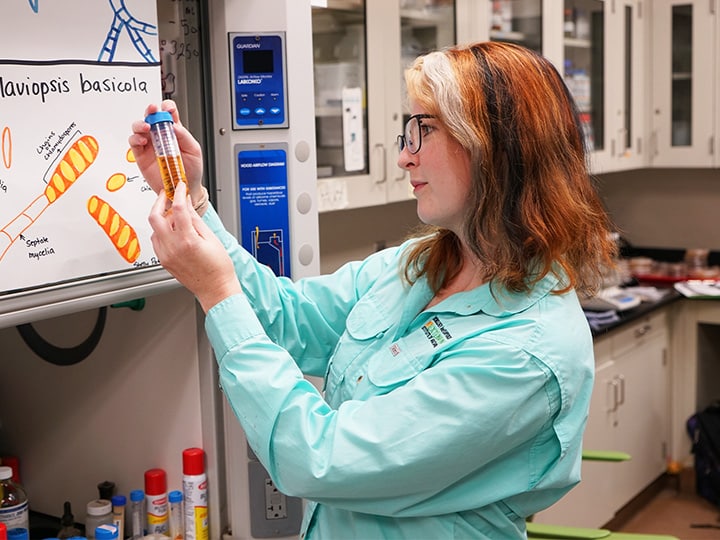 Student wearing a light blue work shirt looking at a test tube filled with an orange substance in a laboratory setting.
