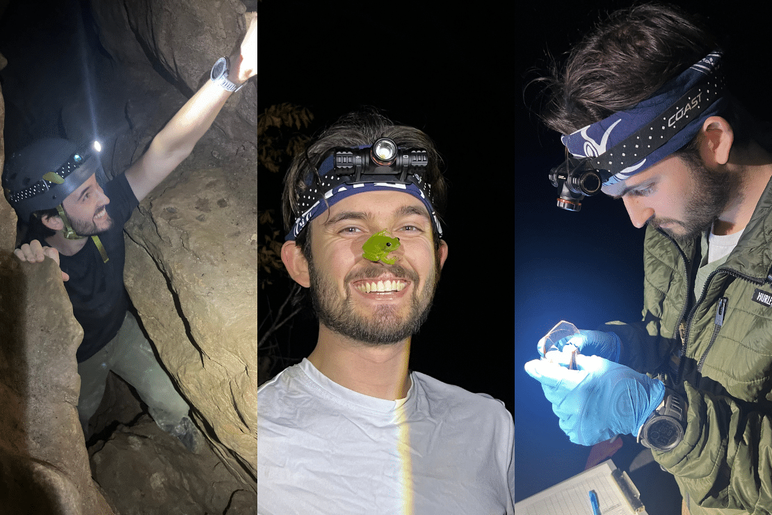 Three photos of Riley Rines: first of him climbing in a cave, treefrog on his nose, and him looking at a bat.