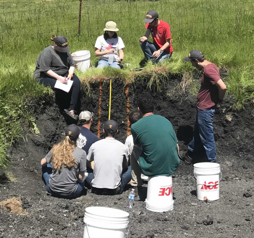 Students doing soil testing