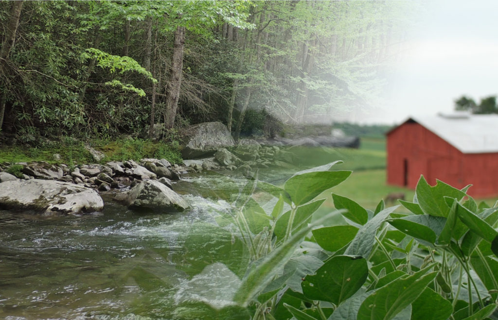 Scenery with a creek and a red barn