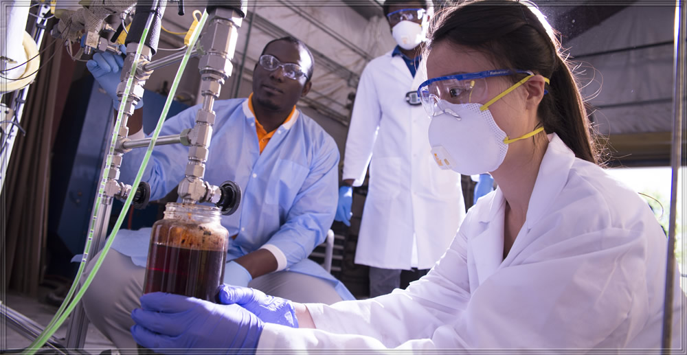 Students working in lab