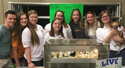 Members of Poultry Science Club gathers around some chicks