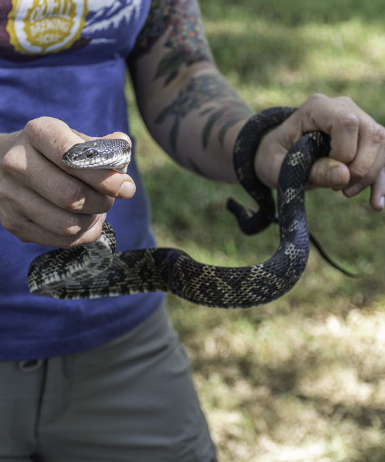 A person holding a snake 