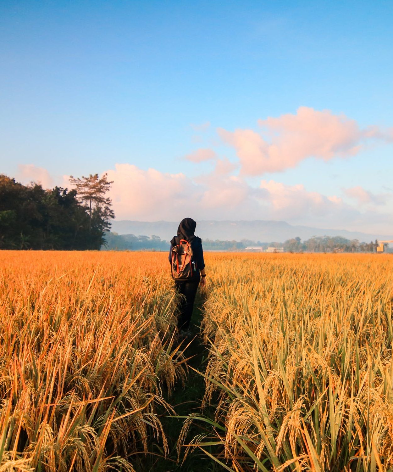 Person stands in field 