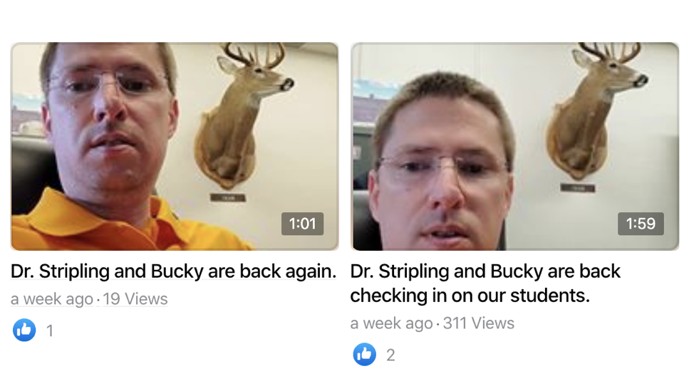 Dr. Striping and Bucky the Deer check in on student through video recordings on social media.