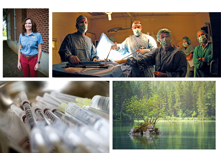 A collage of One Health issues, including veterinary medicine, opioid and substance abuse, and the environment.