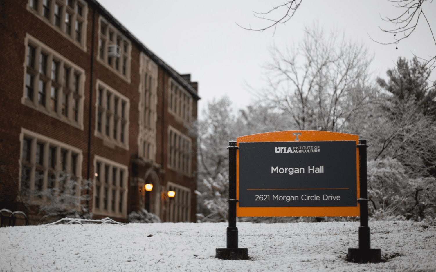 A winter picture of Morgan Hall
