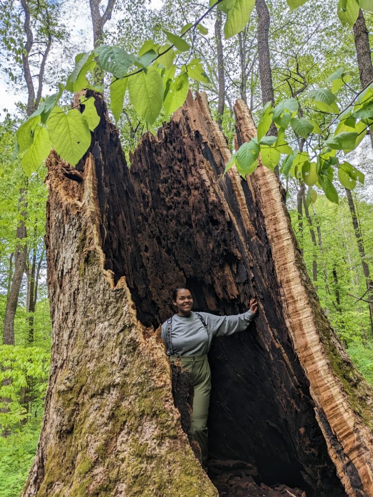 Kayla standing inside an old tree trunk